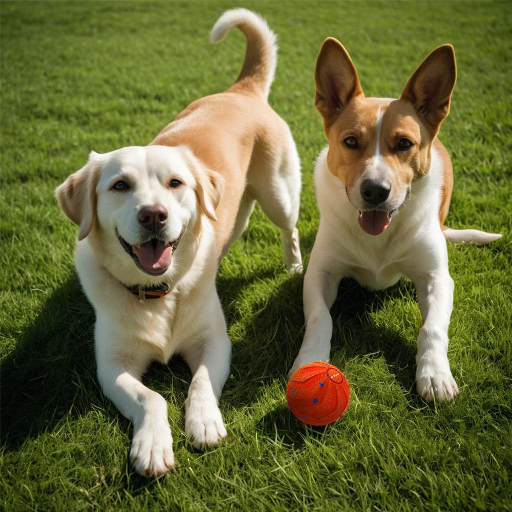 Automatic Moving Dog Ball - Bissresistenter, intelligenter Hundeball, verschleißfest, per USB