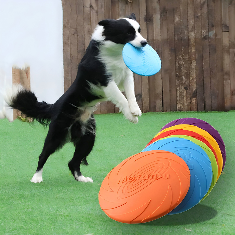 Silikon-Flugscheiben-Spielzeug – Flying Disc Dog Training Toy Bewertung und Preis
