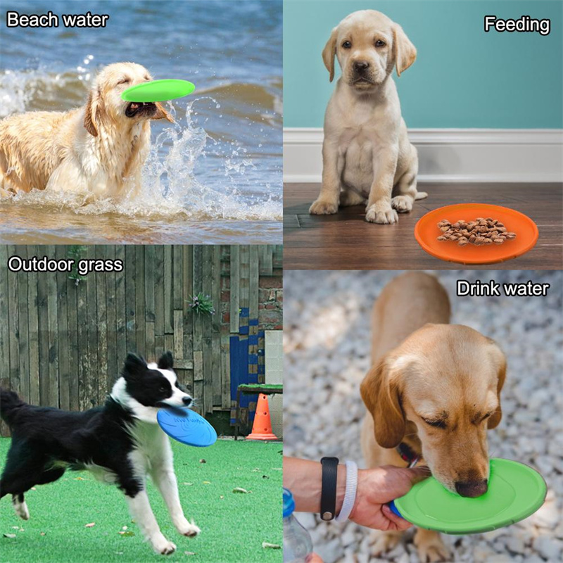 Silikon-Flugscheiben-Spielzeug – Flying Disc Dog Training Toy Bewertung und Preis