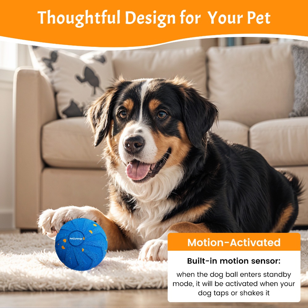 Bissresistenter, intelligenter – Automatic Moving Dog Ball Bewertung und Preis