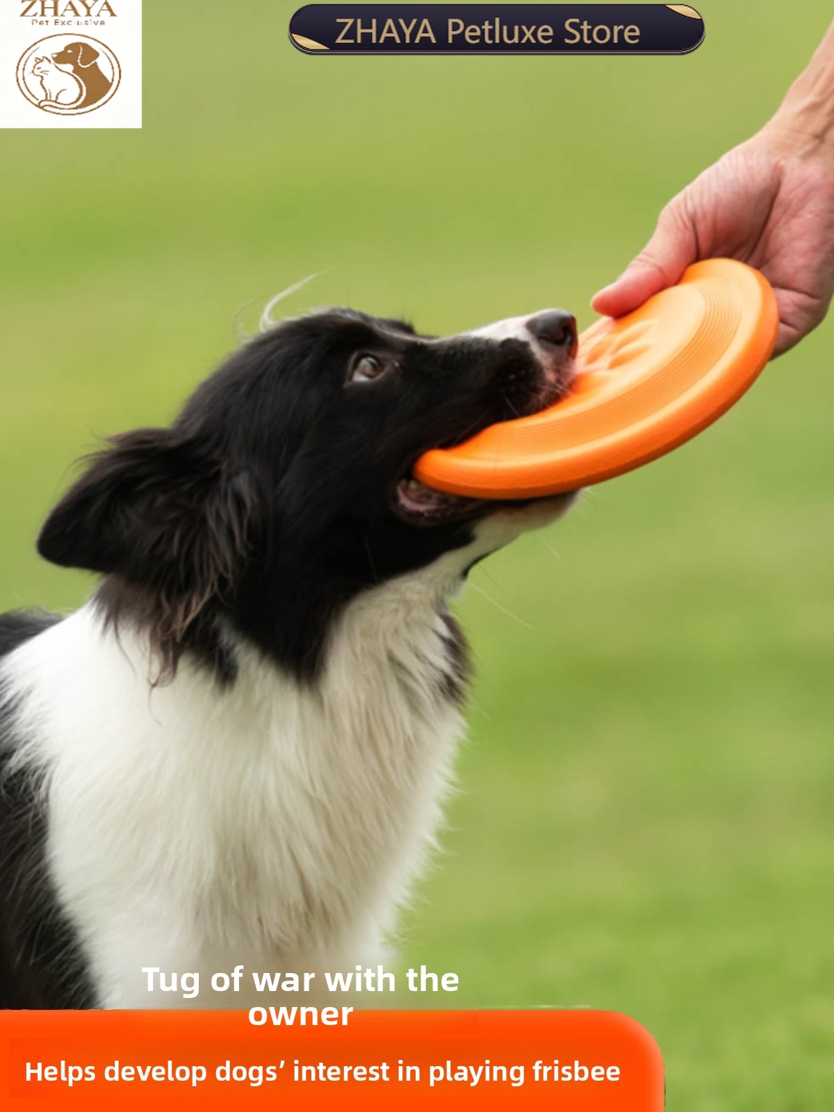 Hunde-Flugscheibe Weich Langle – Flying Disc Dog Training Toy Bewertung und Preis