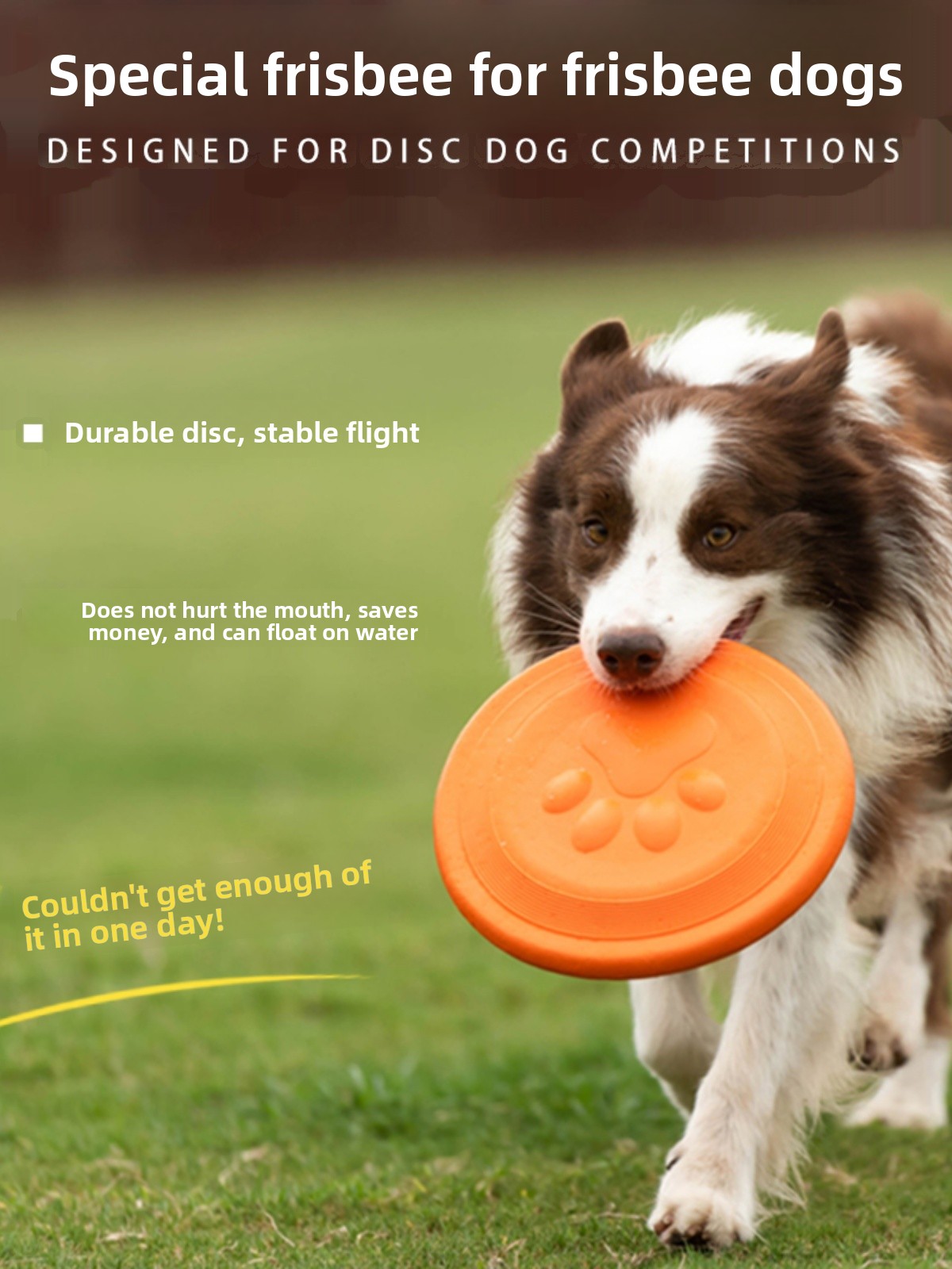 Hunde-Flugscheibe Weich Langle – Flying Disc Dog Training Toy Bewertung und Preis