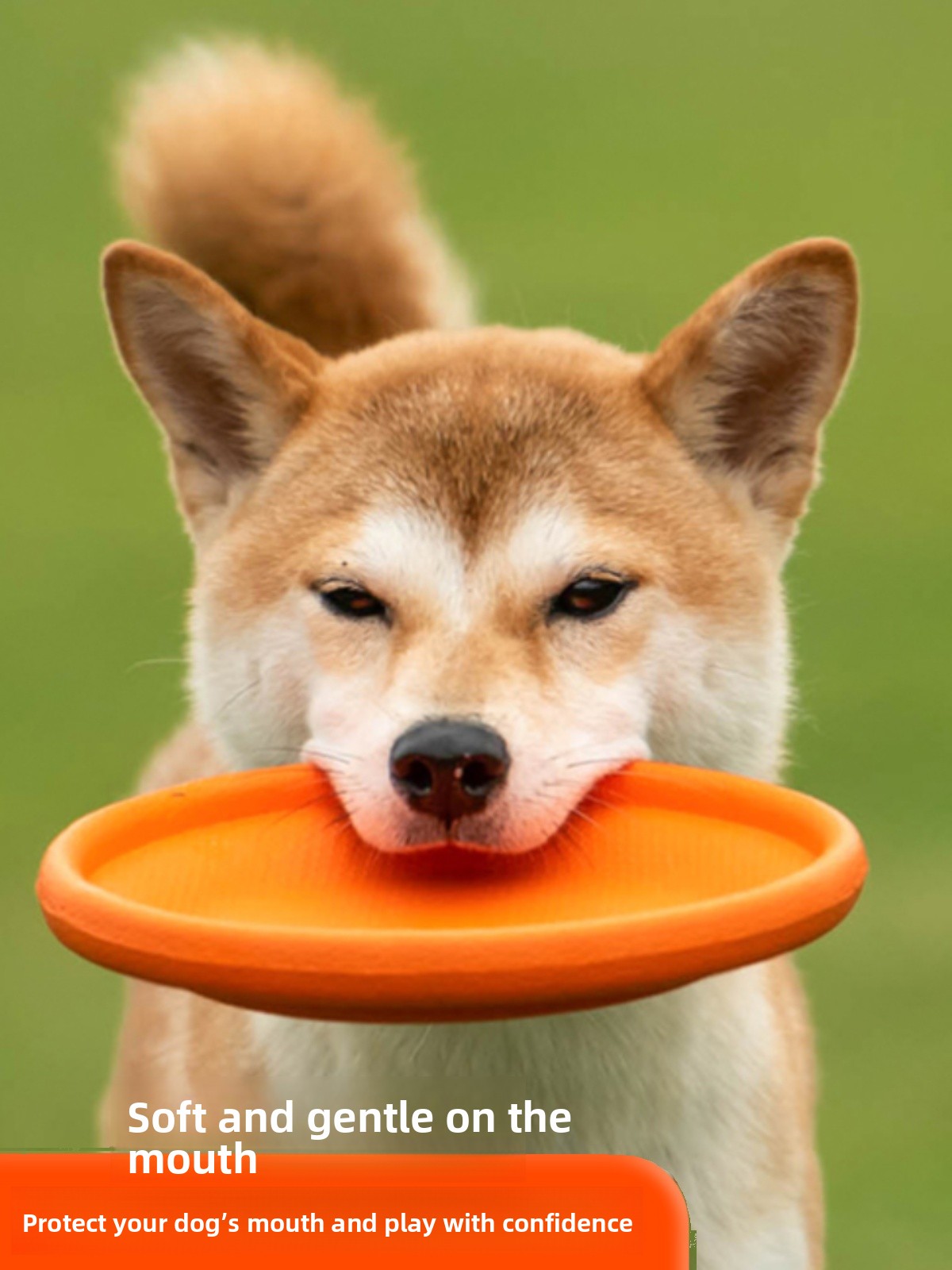 Hunde-Flugscheibe Weich Langle – Flying Disc Dog Training Toy Bewertung und Preis