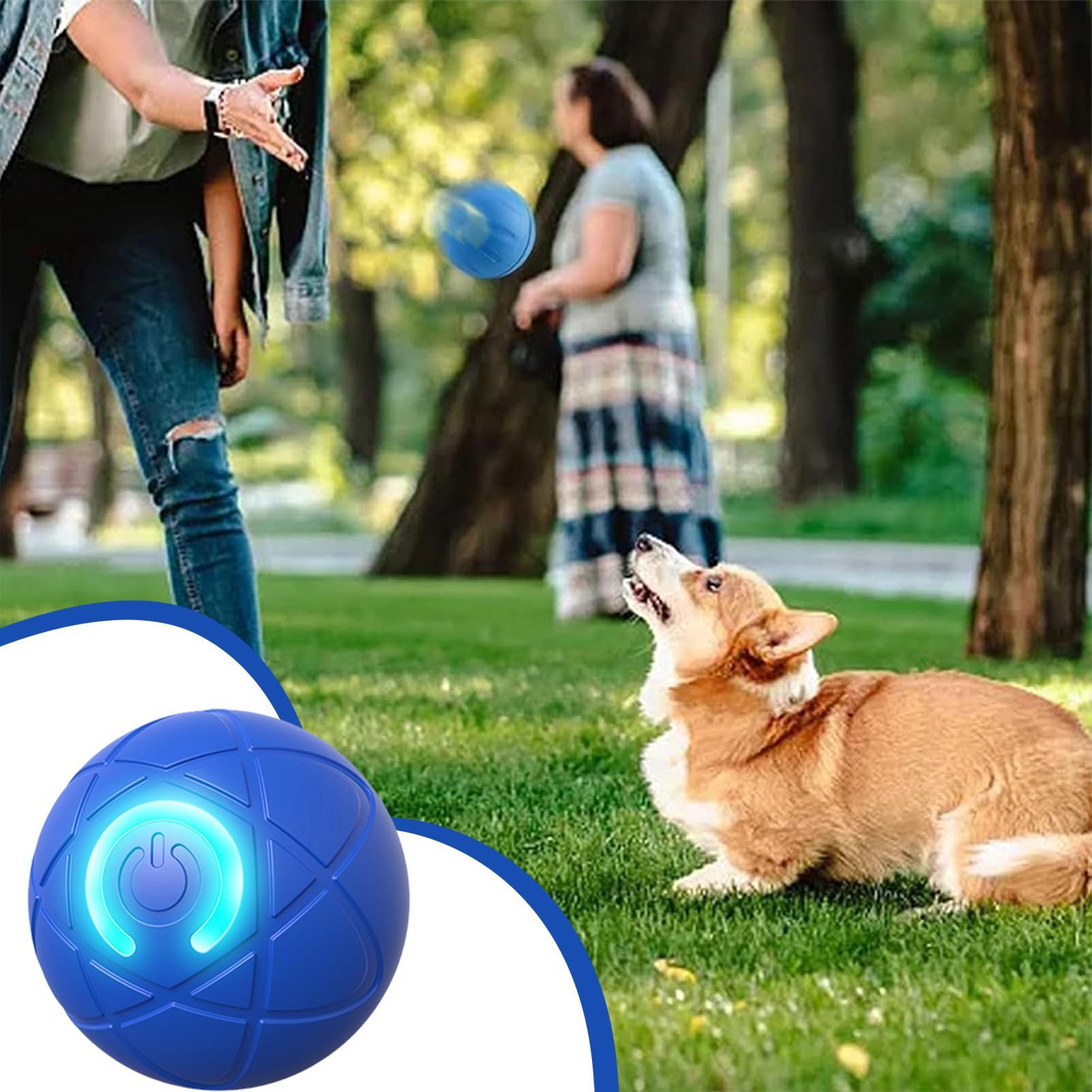Intelligentes Interaktives Hun – Automatic Moving Dog Ball Bewertung und Preis