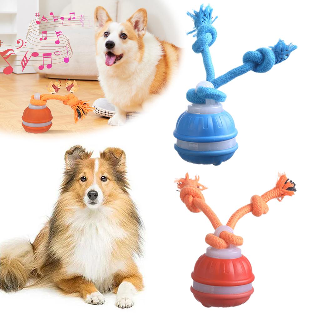 Intelligenter wiederaufladbare – Automatic Moving Dog Ball Bewertung und Preis