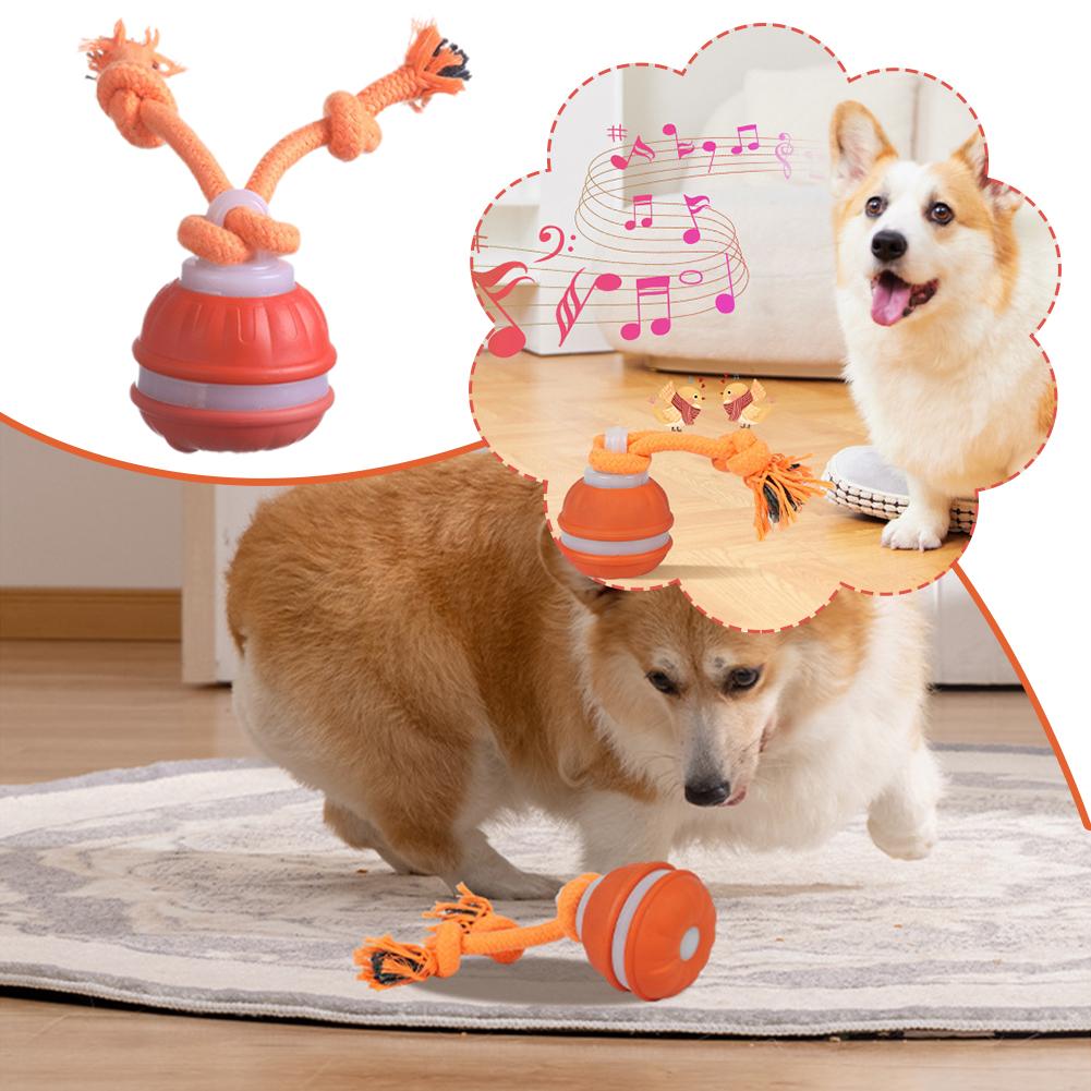 Intelligenter wiederaufladbare – Automatic Moving Dog Ball Bewertung und Preis