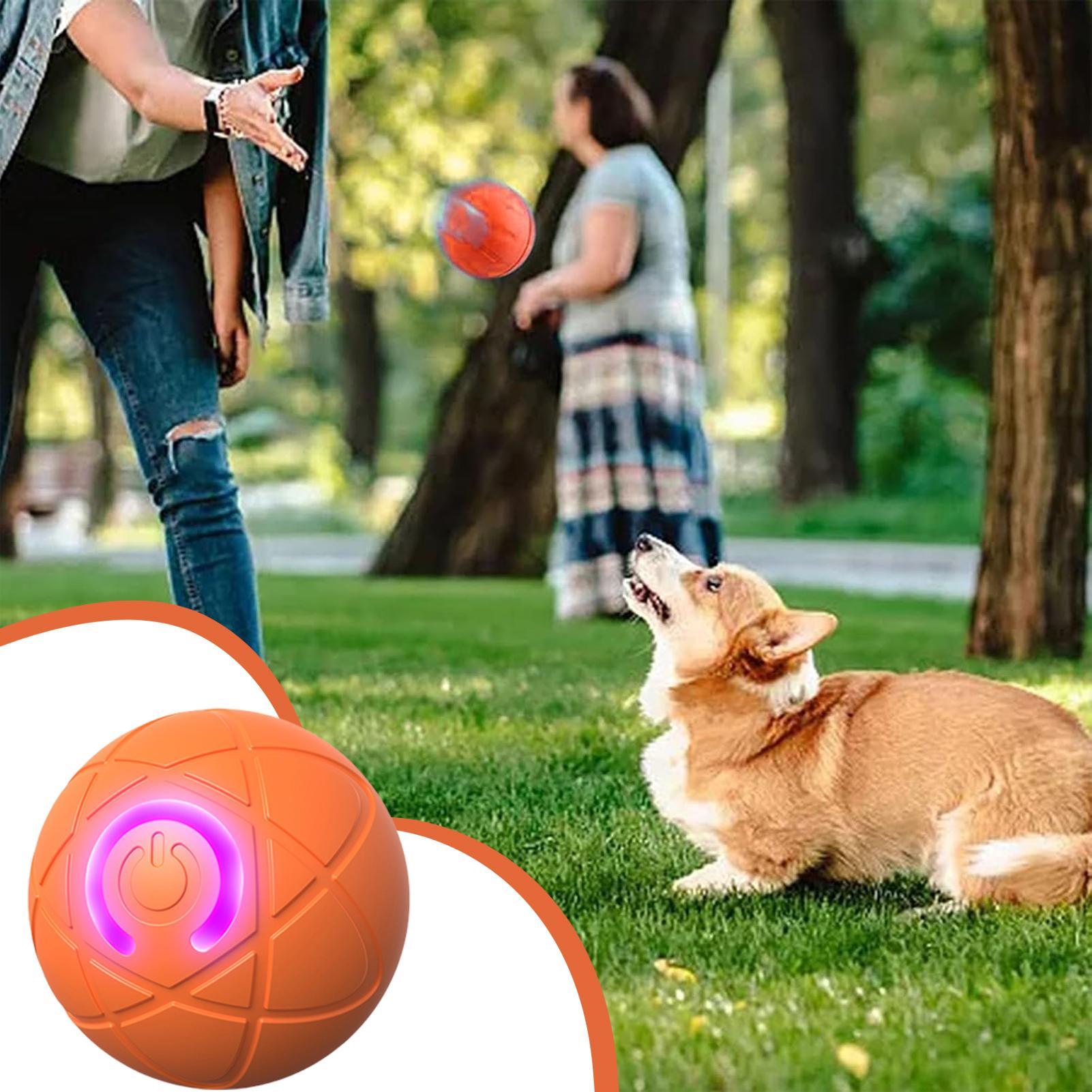 Intelligentes interaktives Hun – Automatic Moving Dog Ball Bewertung und Preis