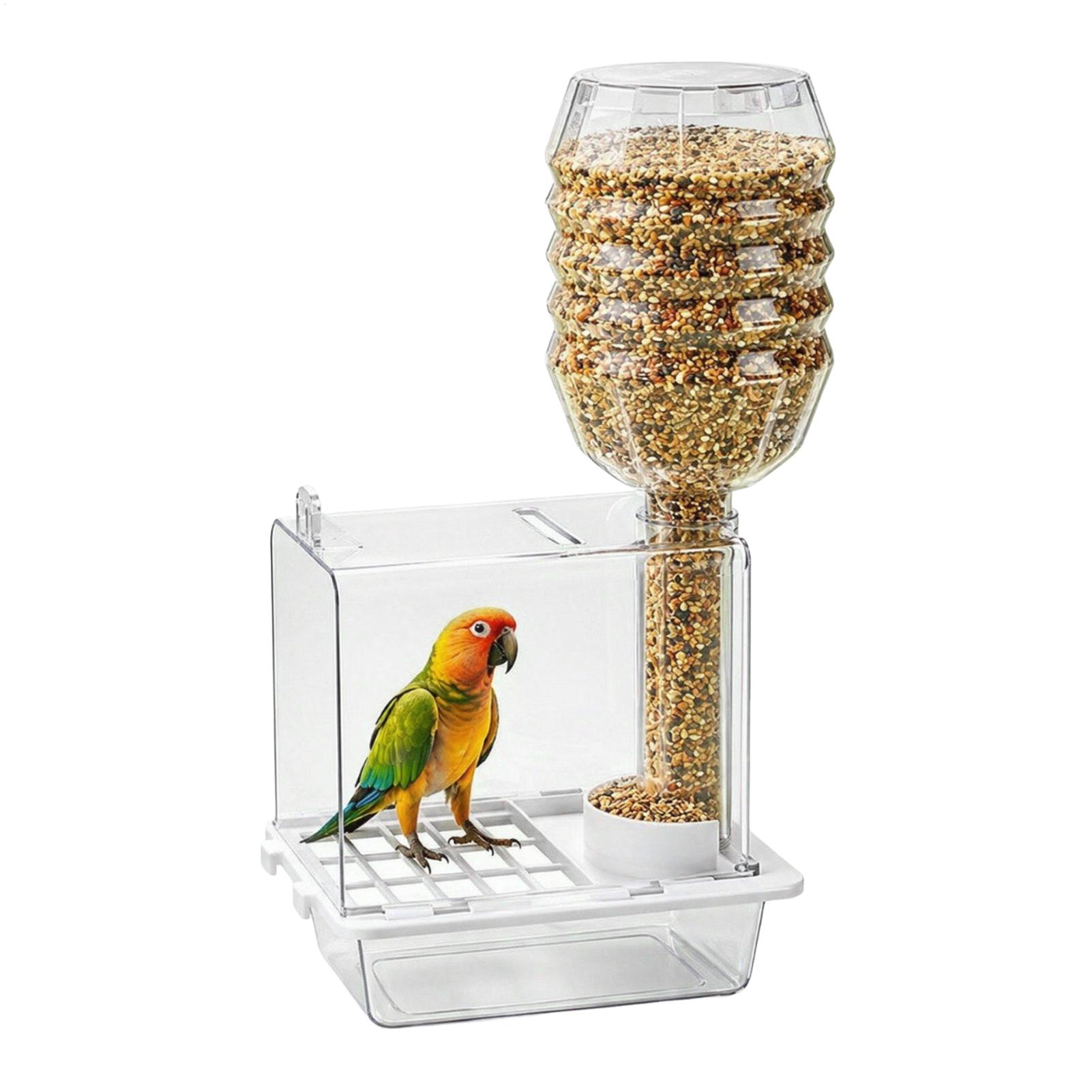 Automatischer Vogelfutterautom – Pet Feeders Bewertung und Preis
