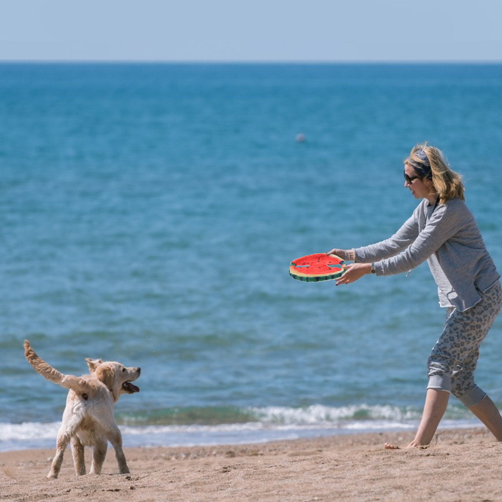 Hunde-Flugscheibe mit schwimme – Flying Disc Dog Training Toy Bewertung und Preis