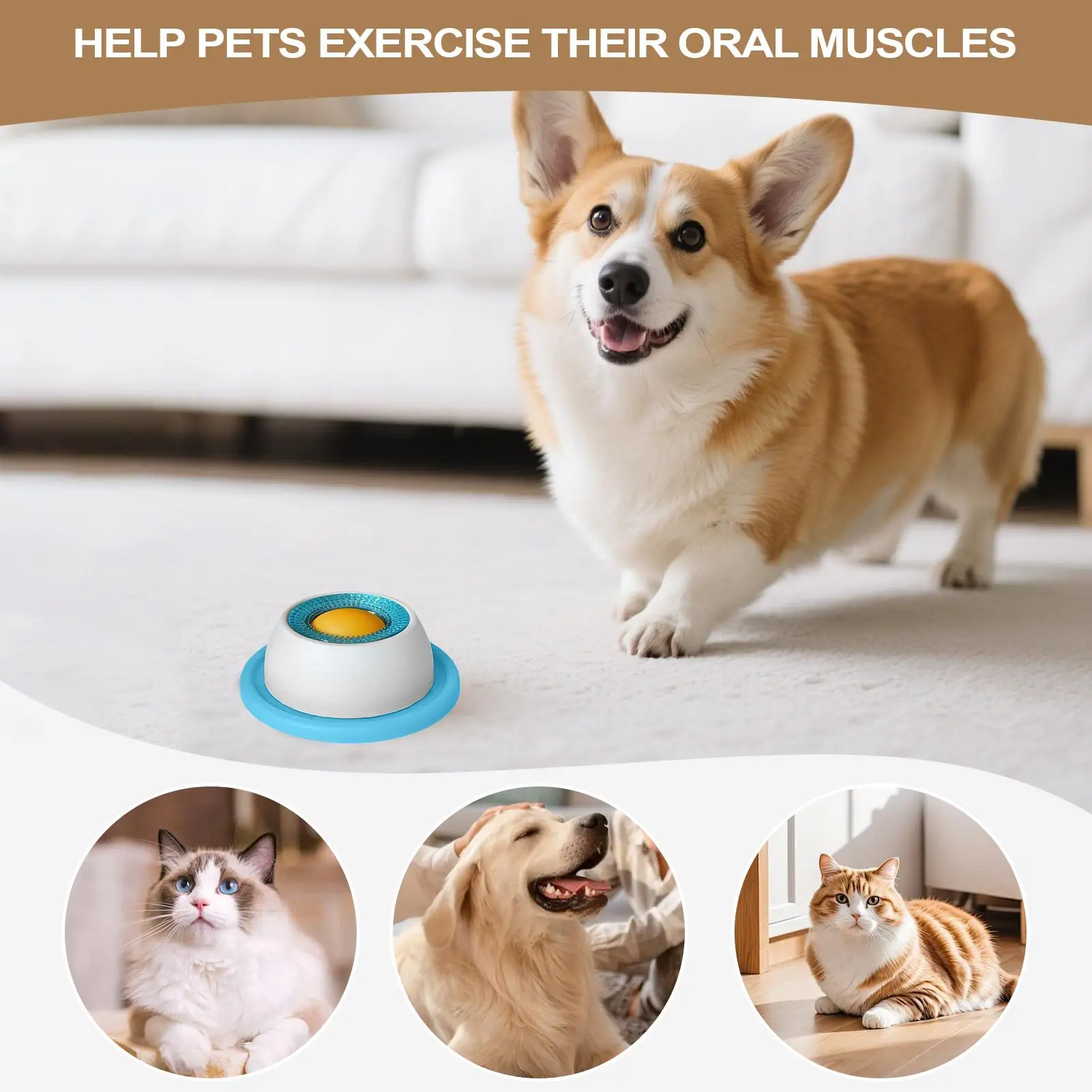 Futterzubehör für Haustiere, H – Dog Puzzle Feeder Toy Bewertung und Preis