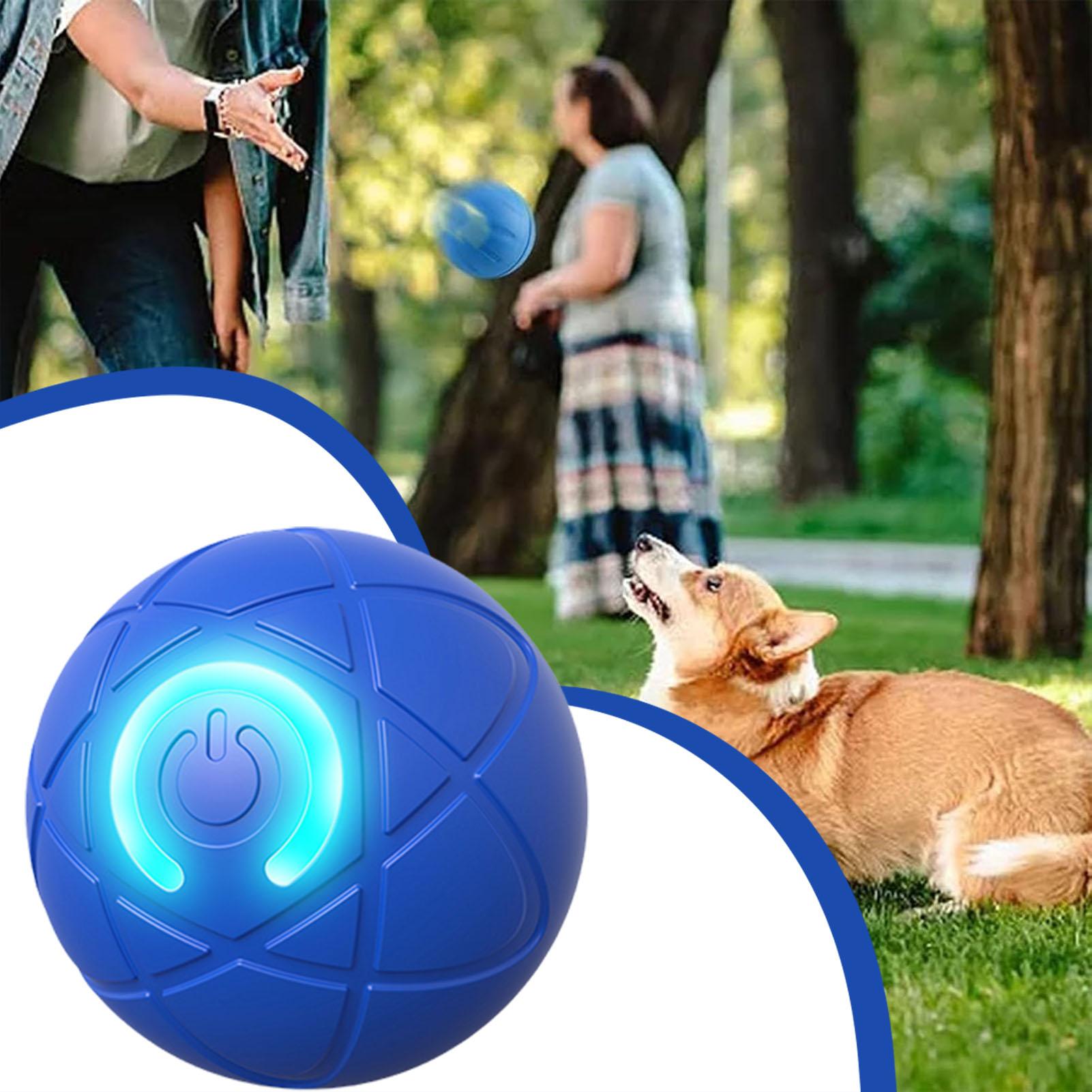 Intelligenter Hundespielzeugba – Automatic Moving Dog Ball Bewertung und Preis