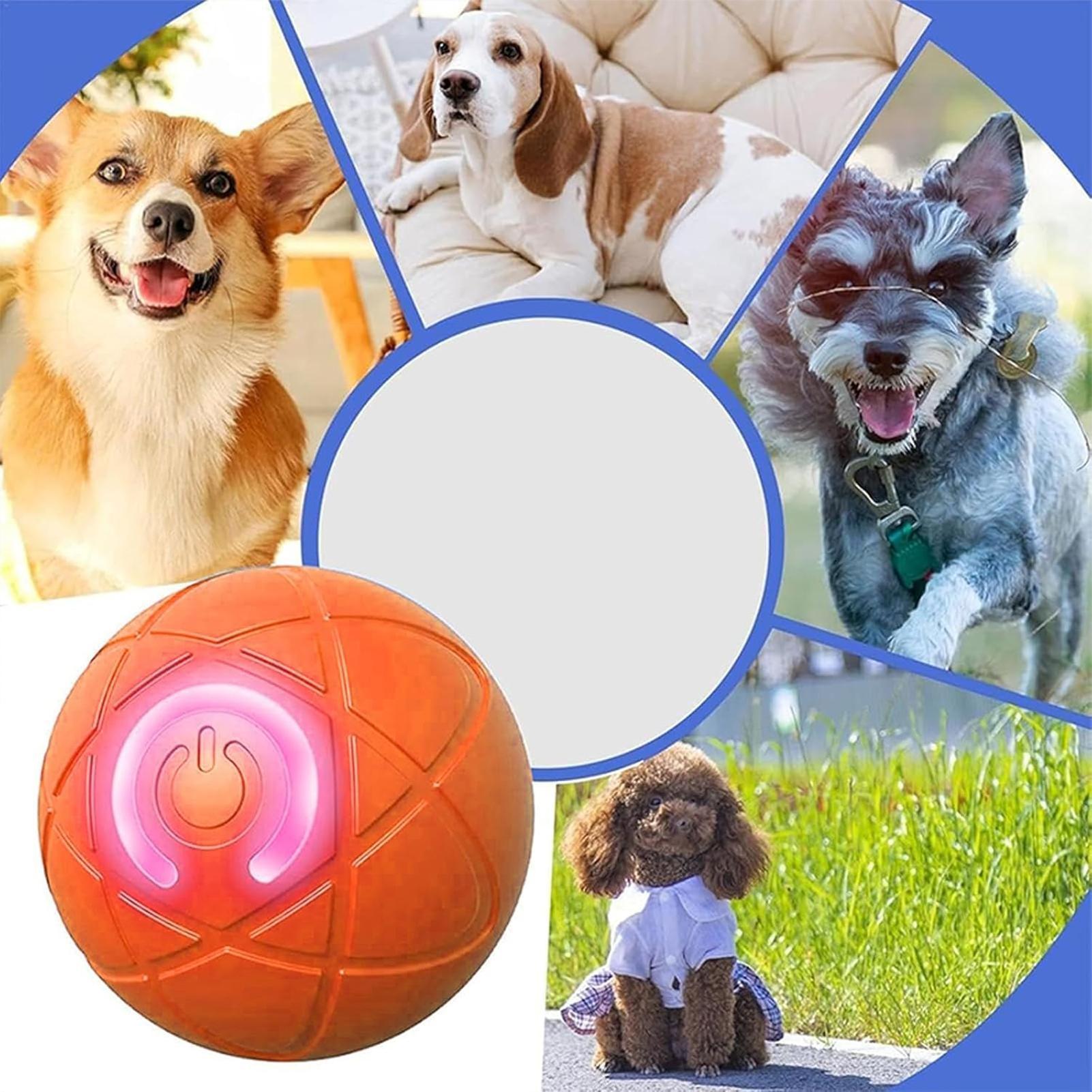 Intelligenter Hundespielzeugba – Automatic Moving Dog Ball Bewertung und Preis