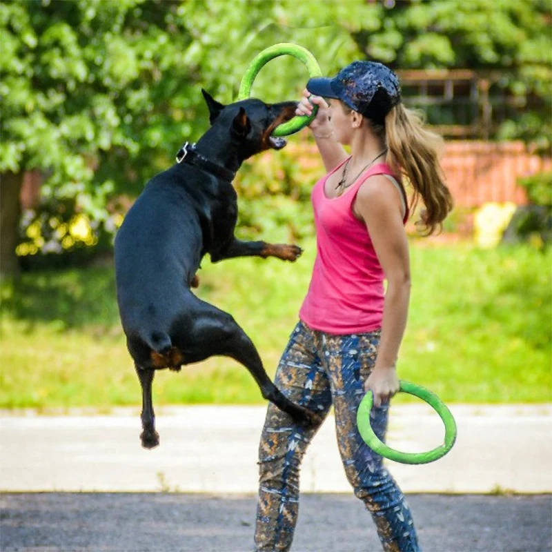 Hundes pielzeug Haustier Flugs – Indestructible Dog Chew Toy Bewertung und Preis