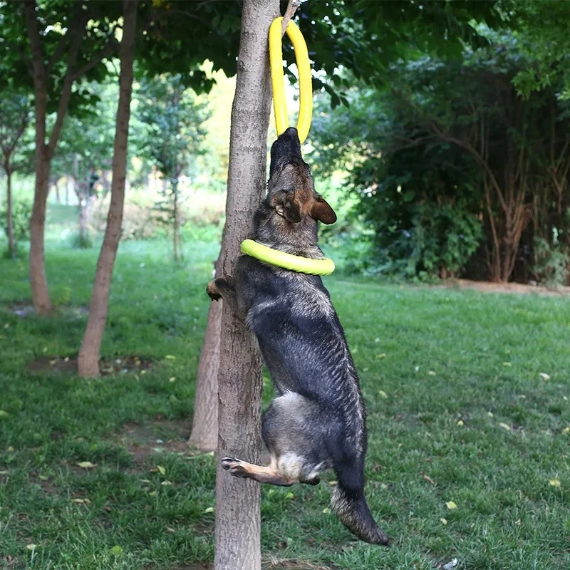 Hundes pielzeug Haustier Flugs – Indestructible Dog Chew Toy Bewertung und Preis
