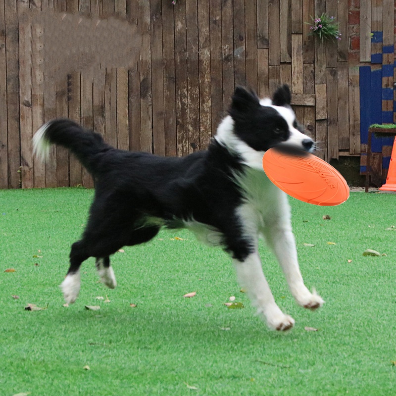 Interaktives Silikon-Flugunter – Indestructible Dog Chew Toy Bewertung und Preis