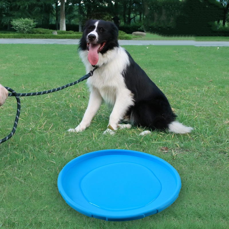 Interaktives Silikon-Flugunter – Indestructible Dog Chew Toy Bewertung und Preis