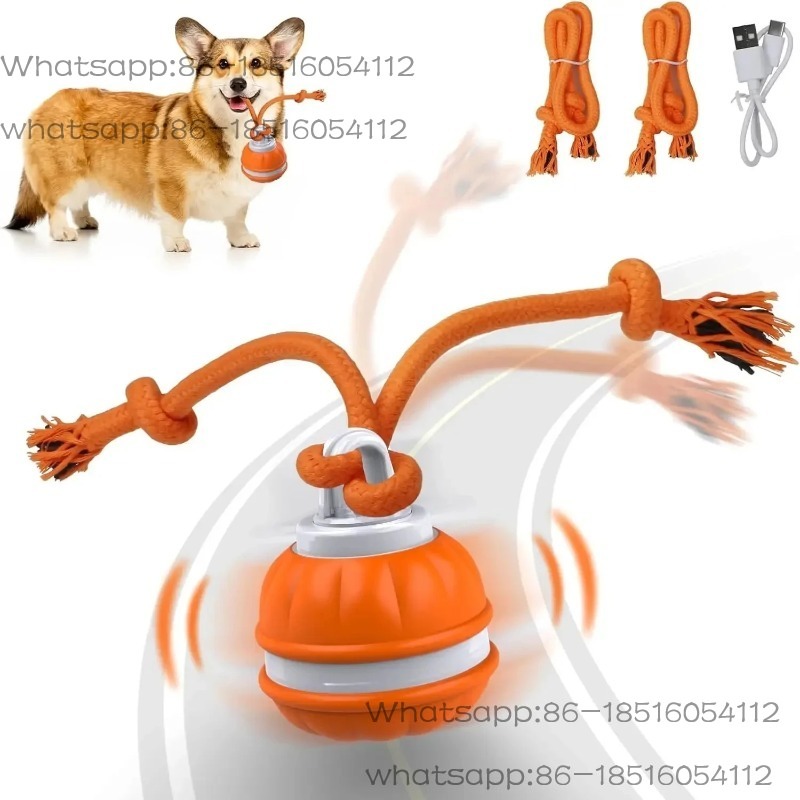 Intelligentes Hundespielzeug I – Automatic Moving Dog Ball Bewertung und Preis