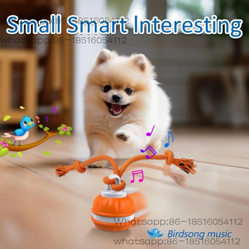 Intelligentes Hundespielzeug I – Automatic Moving Dog Ball Bewertung und Preis