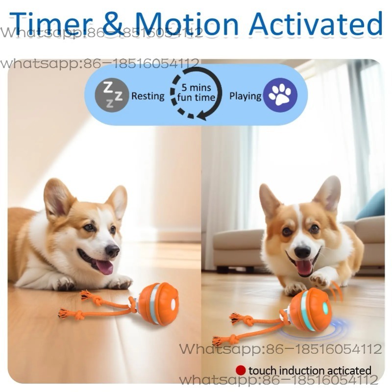 Intelligentes Hundespielzeug I – Automatic Moving Dog Ball Bewertung und Preis