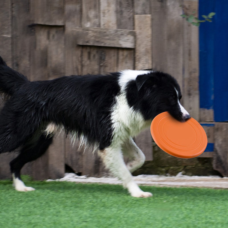 Silikon Fliegende Untertasse L – Flying Disc Dog Training Toy Bewertung und Preis