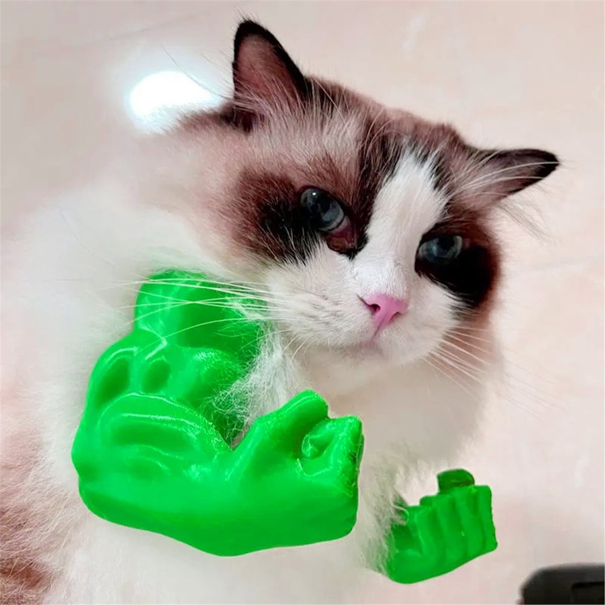NEU Katzen-Muskelarm-Anhänger, – Cat Toys Bewertung und Preis