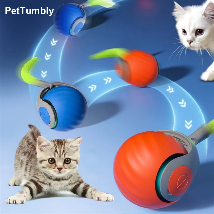 Interaktiver Katzenspielball,  – Automatic Moving Dog Ball Bewertung und Preis
