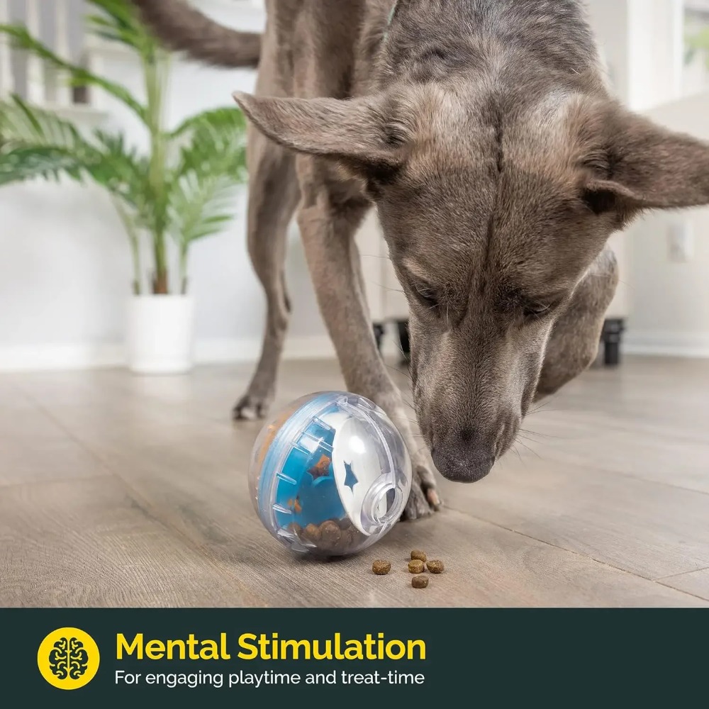 IQ Treat Ball Hundespielzeug m – Dog Puzzle Feeder Toy Bewertung und Preis